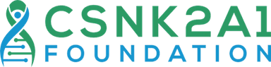 CSNK2A1 Foundation
